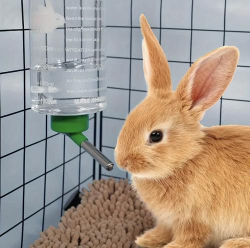 مشربية ارانب وهامستر وقوارض1000مل