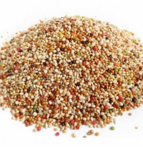 اكل طيور حب مشكل 1كيلو ( كيس شفاف )