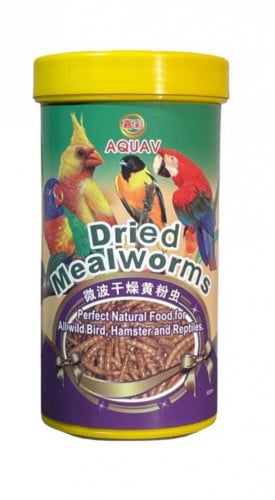 دود قبابي مجفف