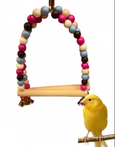 مرجيحة للطيور المتوسطه والصغيره