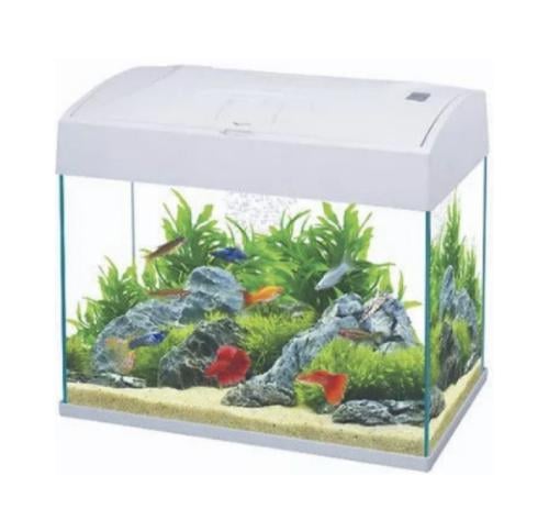 بيسك حوض سمك 20 لتر ابيض