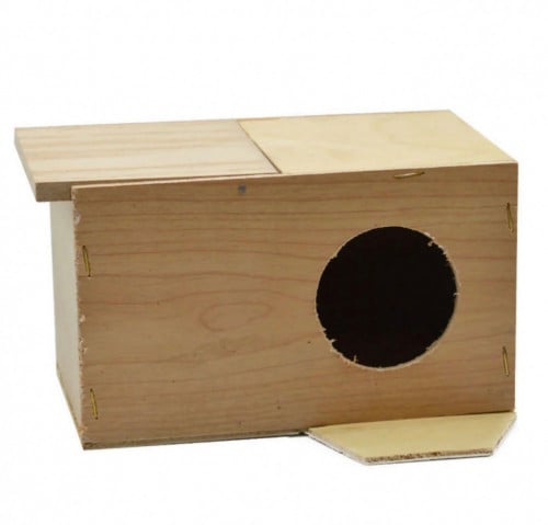 بياضة بادجي وزيبرا وجاوا صغير