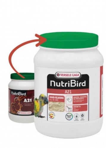 سيريلاك ڤيرسل لاقا A21 versele laga