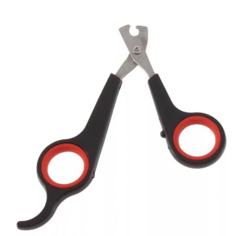 مقص اظافر للحيوانات الوان عشوائية