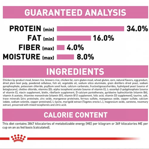 رويال كانين كيتن طعام جاف للقطط الصغيرة 2kg