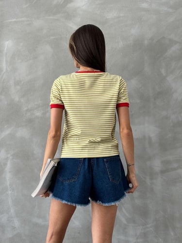 تيشيرت مخطط مطرز لون أخضر - TOP11250