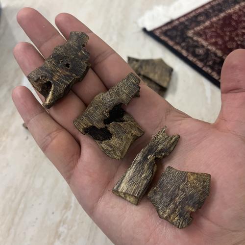 العود الصيني الكينامي