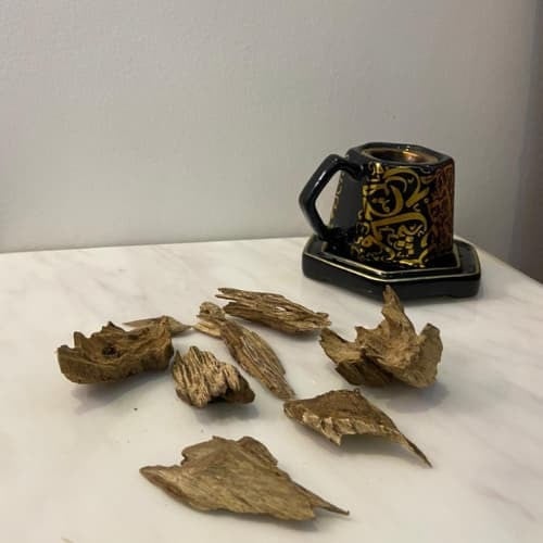 ارياني طبيعي