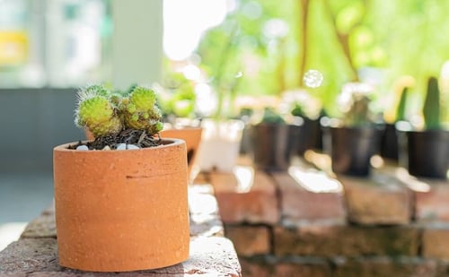 قالب سيليكون وعاء نباتي دائري عالي الجودة مع دعاما...