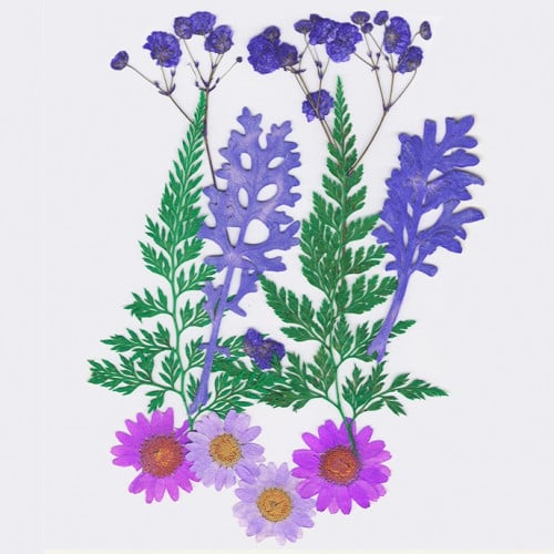 ورد مجفف مجموعة ألوان بنفسجي رقم 17 ( H108 )