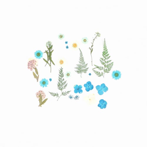 ورد مجفف مجموعة ألوان أزرق رقم 15 ( H105 )