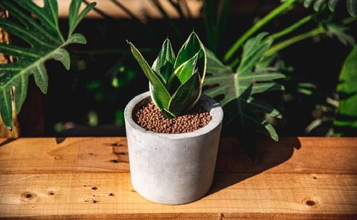 قالب سيليكون وعاء نباتي دائري عالي الجودة مع دعاما...