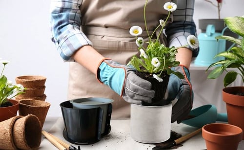 قالب سيليكون وعاء نباتي دائري عالي الجودة مع دعاما...