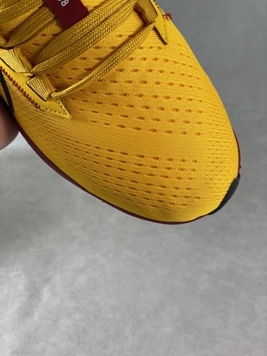 حذاء نايك Air zoom Pegasus