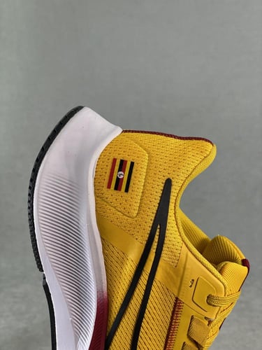 حذاء نايك Air zoom Pegasus