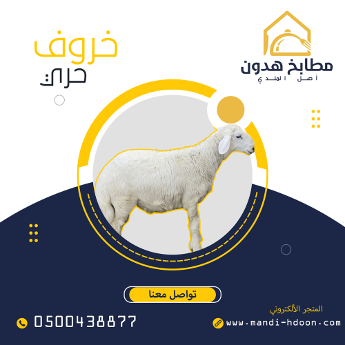ذبيحة خروف حري بلدي طازج - أحجام متنوعة (صغير، وسط...