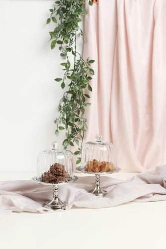 ستاند تقديم