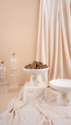 ستاند تقديم راقي