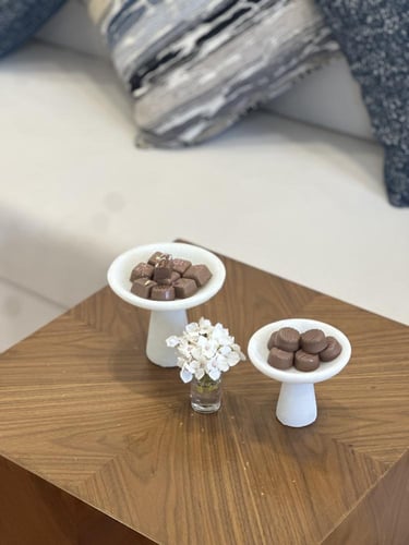 ستاند تقديم راقي