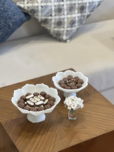 ستاند تقديم راقي