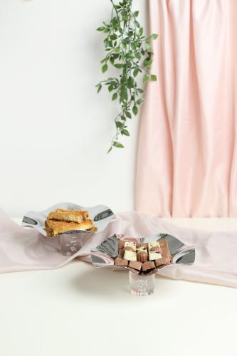 ستاند تقديم