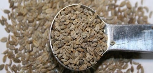 بذور بقدونس