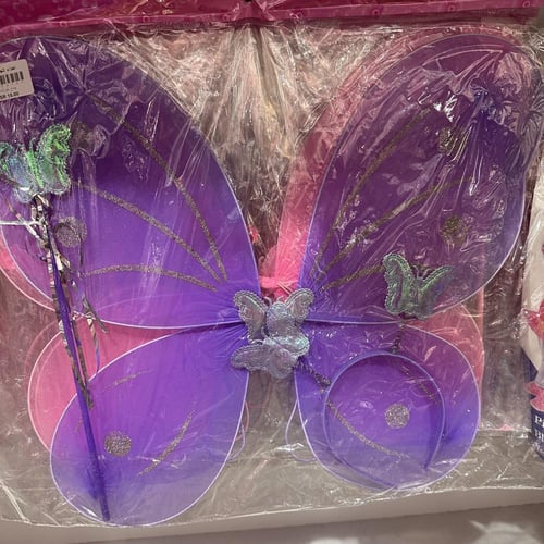 جناح الفراشه