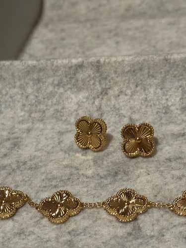 اسوارة رسميه VN