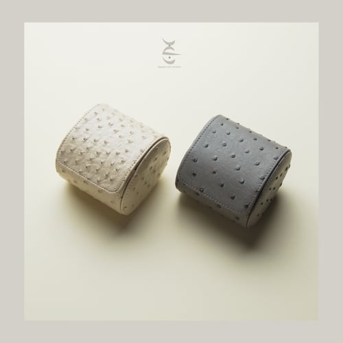 حقيبة حماية للساعة