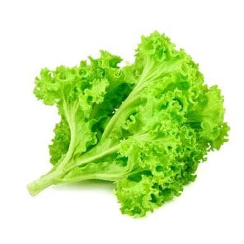 خس لولو بيوندا علبه300جم