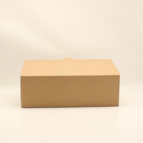 كرتون مقاس 9*12*20