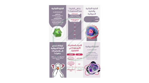 مطوية علوم درس ( الخلية النباتية والحيوانية)