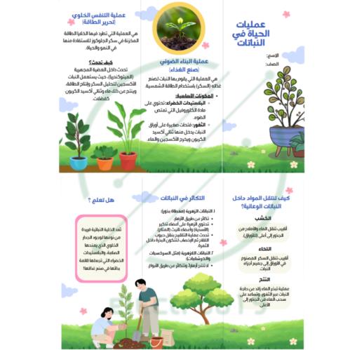 مطوية علوم درس (عمليات الحياة في النباتات)