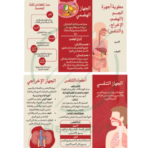 مطوية علوم درس (⁠الهضم والاخراج والتنفس)