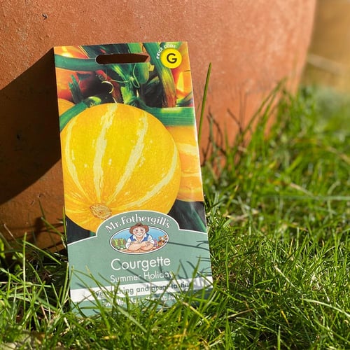 بذور كوسة دائرية Summer Holiday