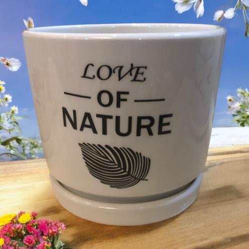 وعاء نباتات داخلية سيراميك