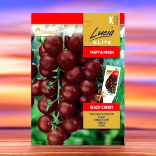 بذور طماطم الكرز الأسود