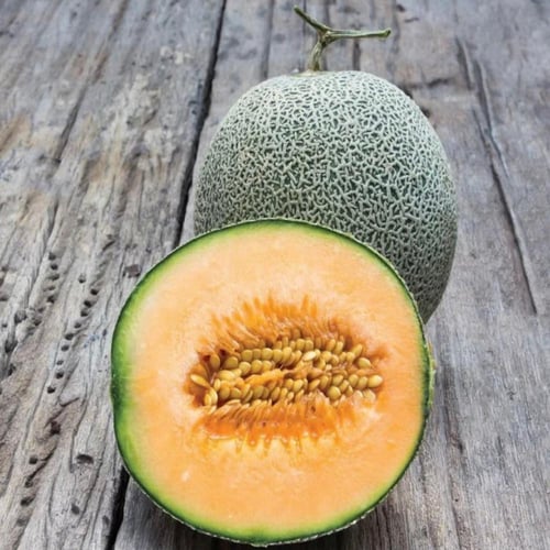 بذور شمام كنتالوب Edisto 47