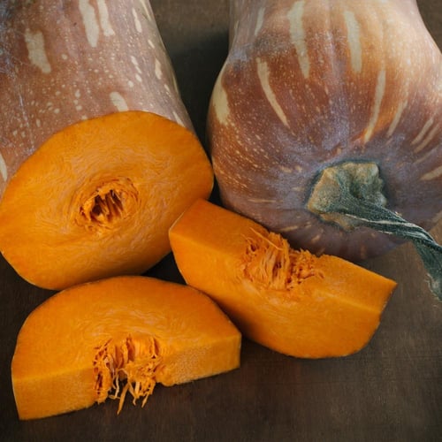 بذور قرع نابولي الطويل