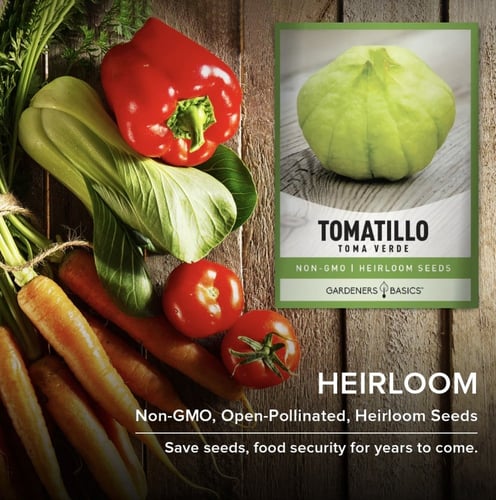 بذور توماتيللو توما فيردي