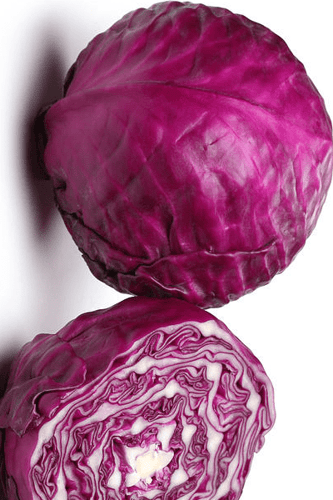 بذور الملفوف الأرجواني