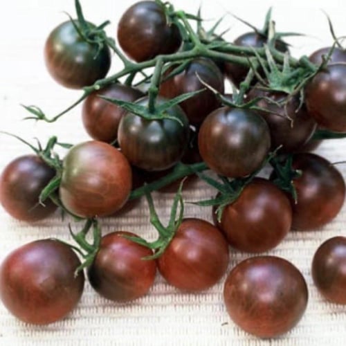 بذور طماطم الكرز الأسود