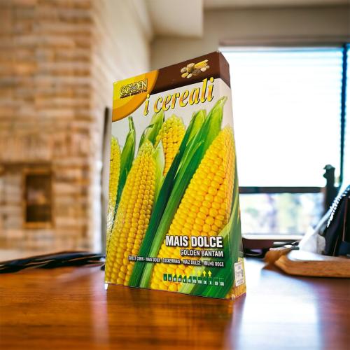 بذور ذرة حلوة صفراء بانتام