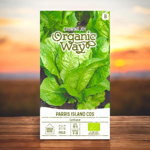 بذور خس باريس آيلاند العضوية