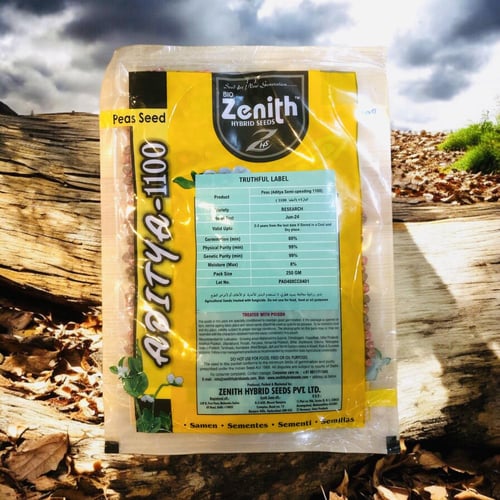 بذور بازلاء هجينة أديتيا 1100