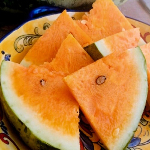 بذور بطيخ Orangeglo