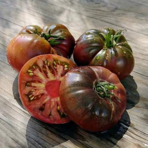 بذور طماطم Brandywine Black موروثة