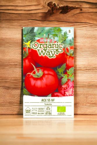 بذور طماطم عضوية أيس 55