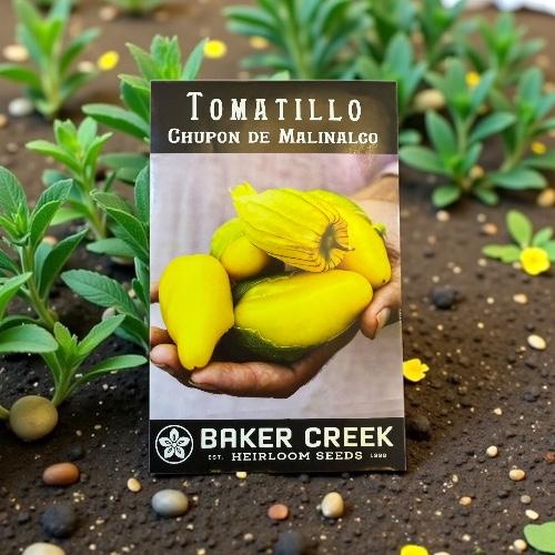 بذور توماتيلو شوبون دي مالينالكو العملاق