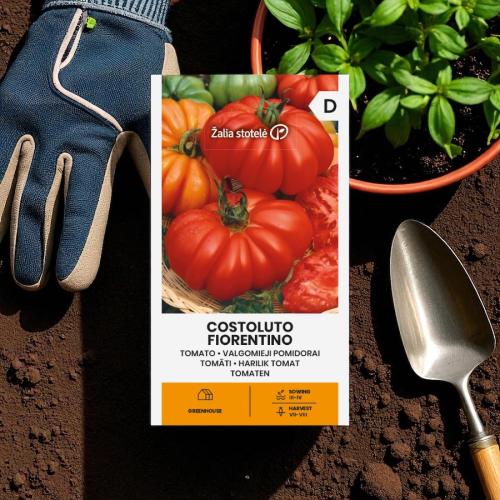 بذور طماطم Costoluto Fiorentino – بيف ستيك إيطالية